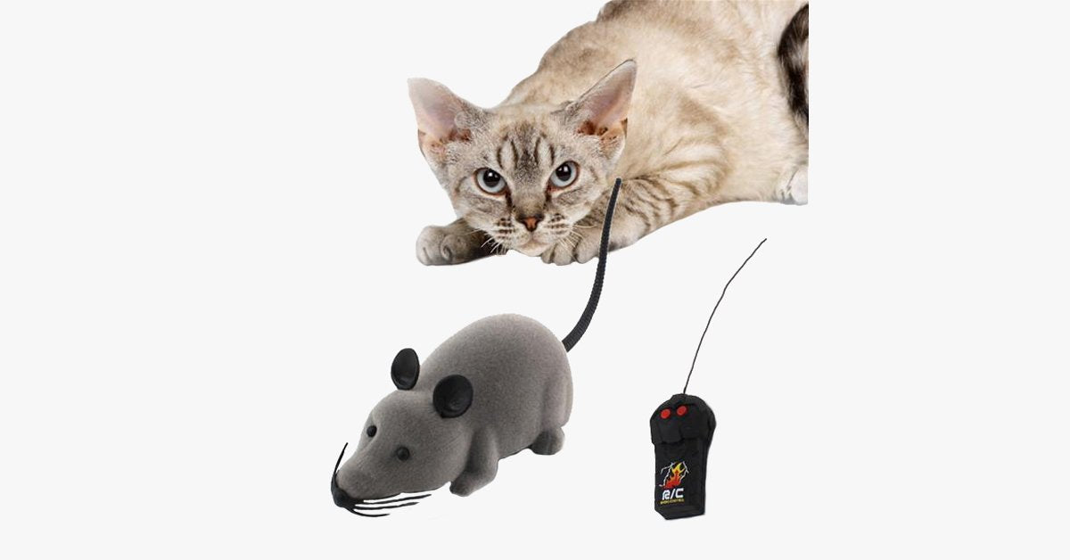 Electronic RC Rat Mouse Toy for Pet Cat