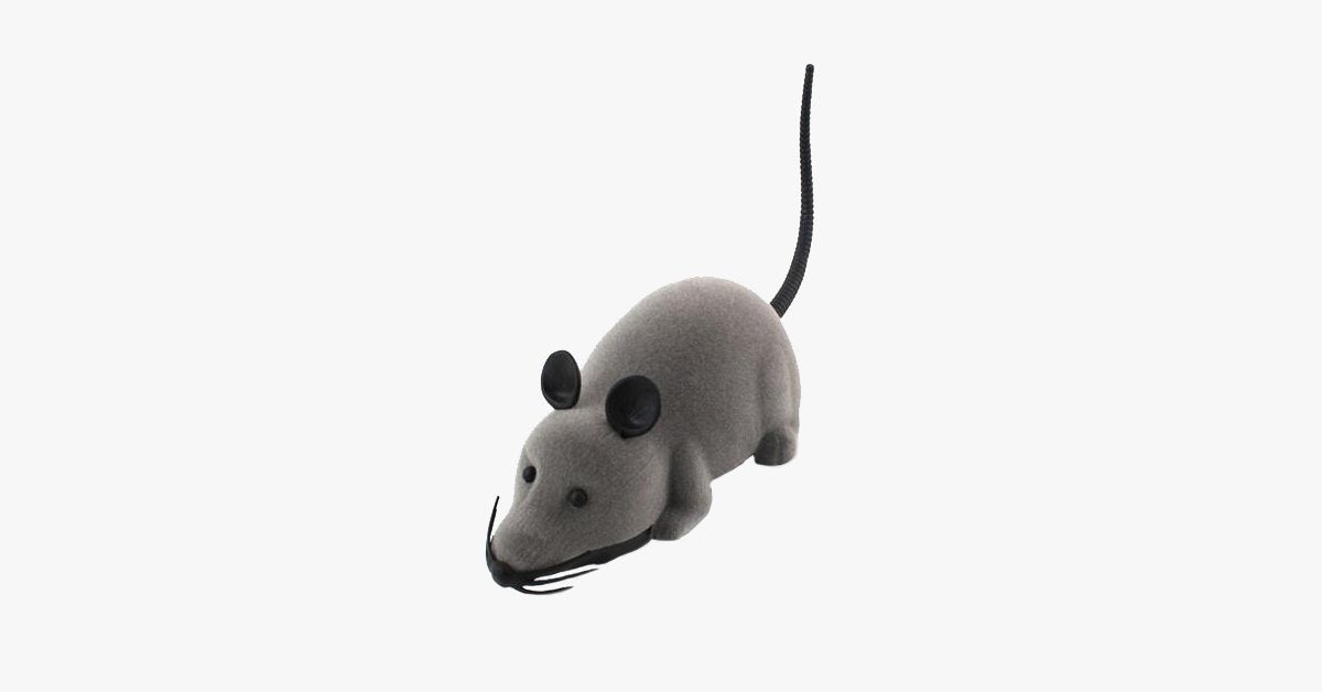 Electronic RC Rat Mouse Toy for Pet Cat