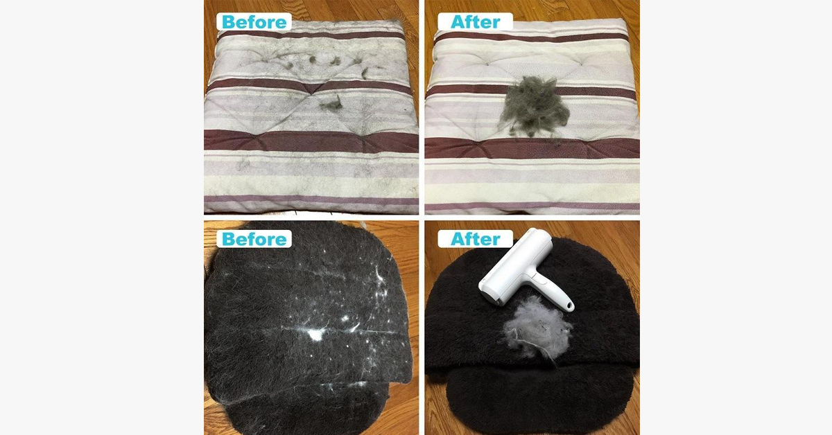 Pet Hair Remover – Clean Your Place Easily!