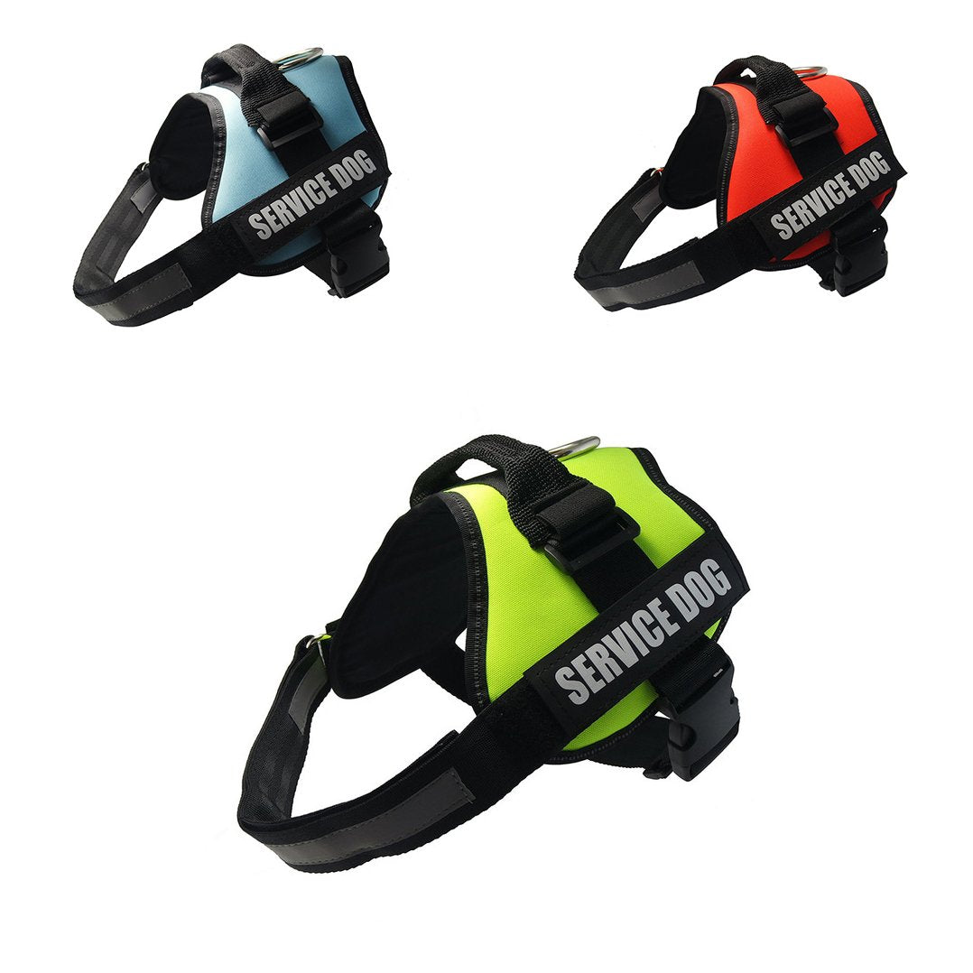 Dog Lifting Harness with Handle