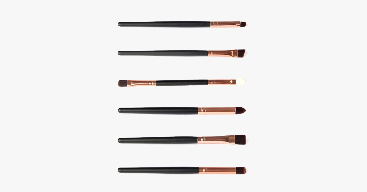 6 Piece Professional Brush Set