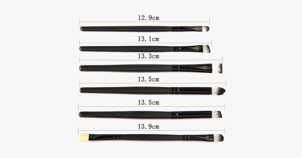 6 Piece Professional Brush Set