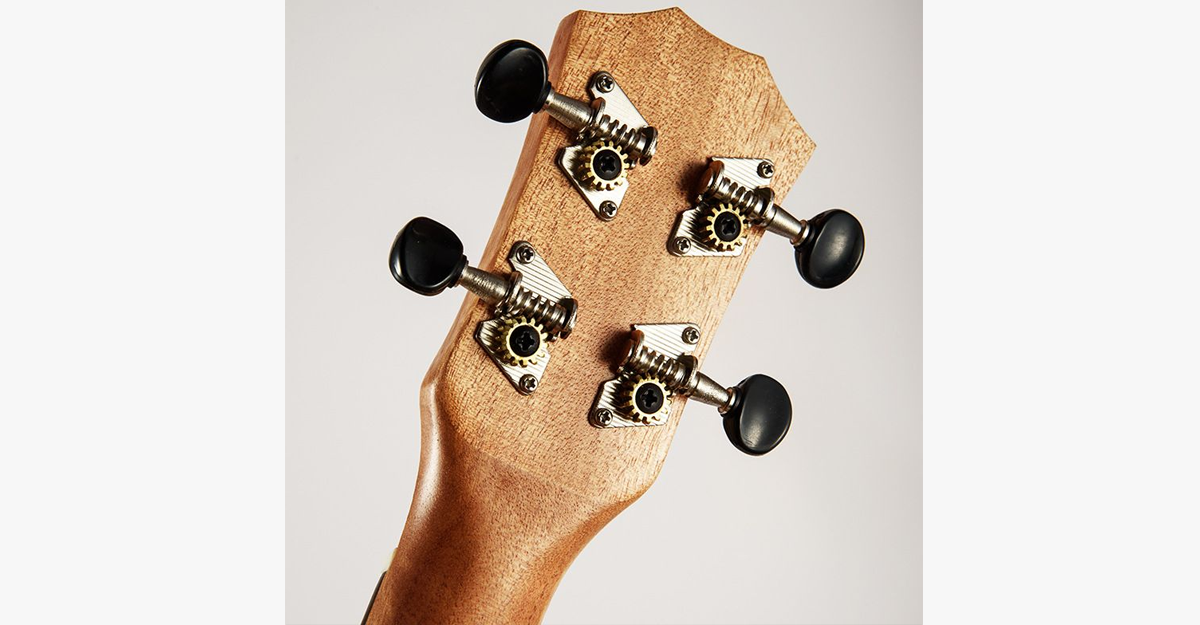 Ukulele Guitar
