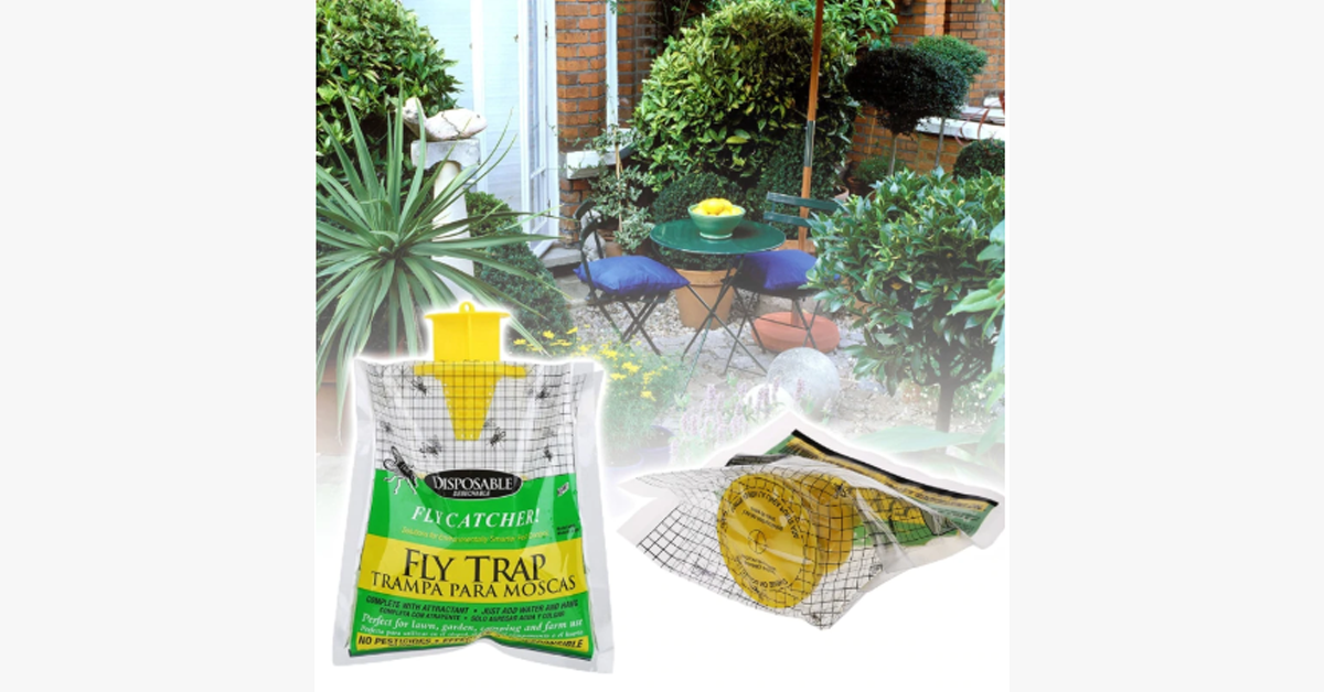 Flies Trap – Keep The Insects Away!